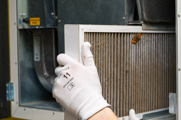 Best Affordable Duct Cleaning Services  in Waxahachie, TX